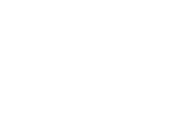 LT4 | Download Files | Marketplace | Media