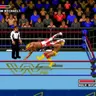 WWF Super WrestleMania
